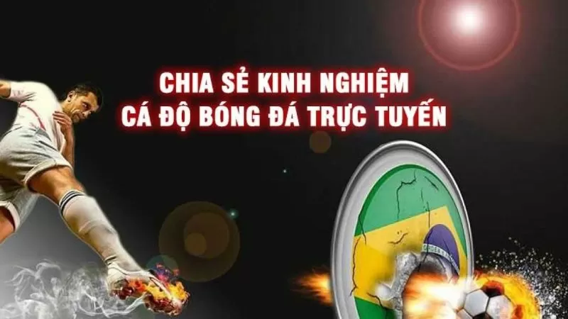 Chọn nhà cái có chuyên mục soi kèo uy tín để chơi 