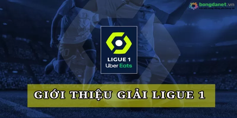 Soi kèo Ligue 1 là hoạt động nghiên cứu 