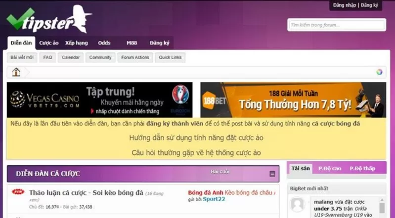 Vtipster- Top diễn đàn cá độ bóng đá không nên bỏ qua