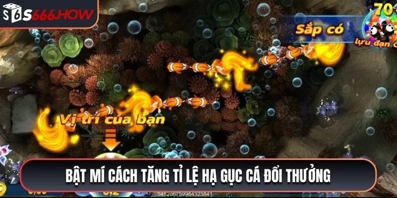 Bật mí cách tăng tỉ lệ hạ gục cá đổi thưởng