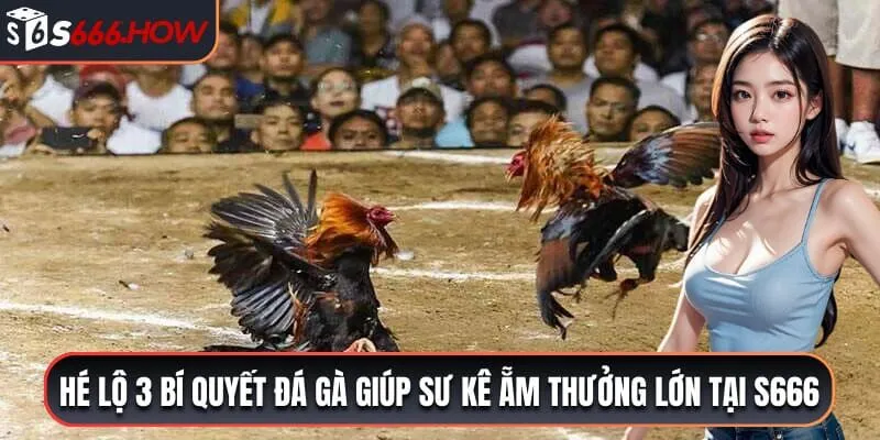 bí quyết đá gà