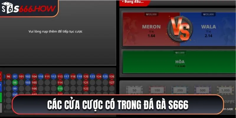 Các cửa cược có trong đá gà S666