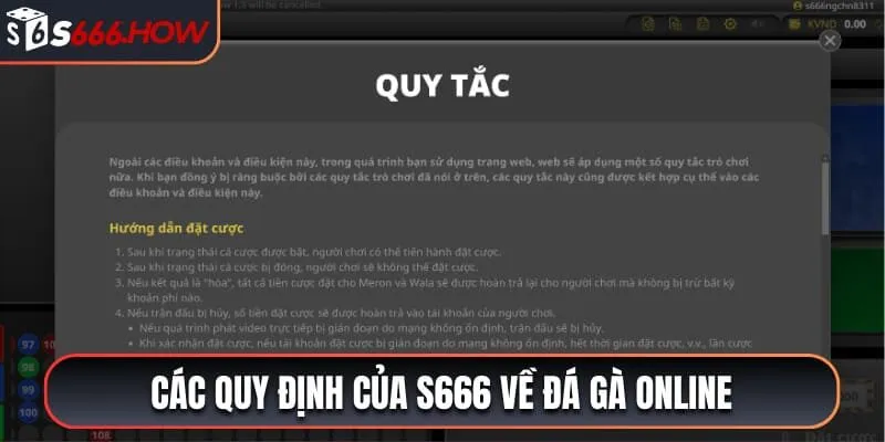 Các quy định của S666 về đá gà online