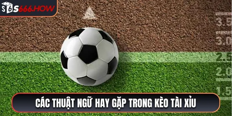 Các thuật ngữ hay gặp trong kèo tài xỉu