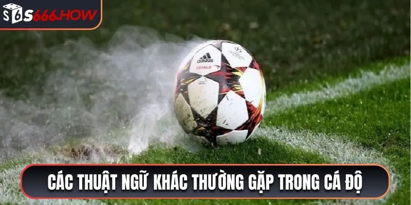 Các thuật ngữ khác thường gặp trong cá độ