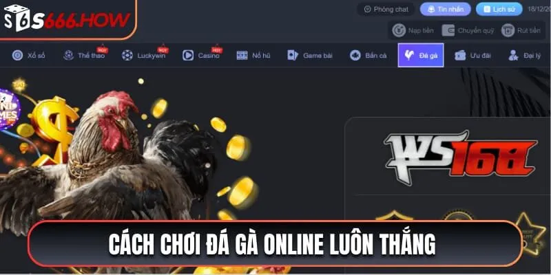 cách chơi đá gà online