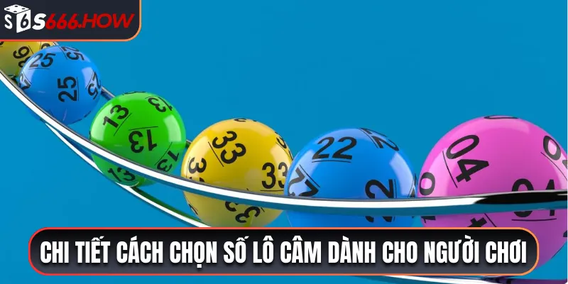 Chi tiết cách chọn số lô câm dành cho người chơi 