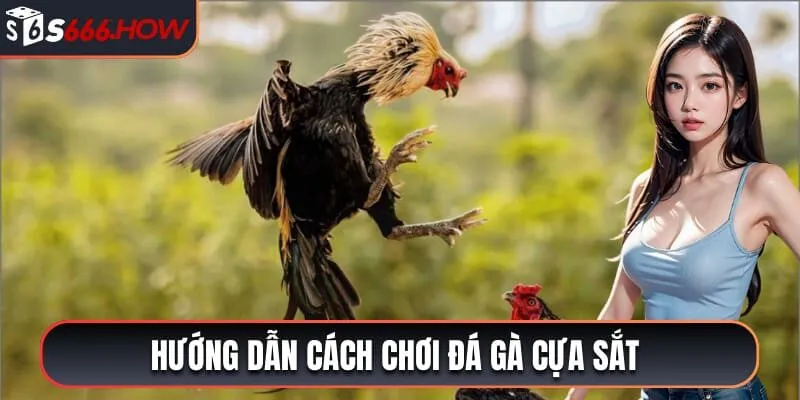 đá gà cựa sất