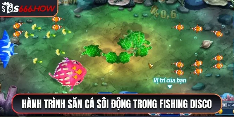 Hành trình săn cá sôi động cùng Fishing Disco