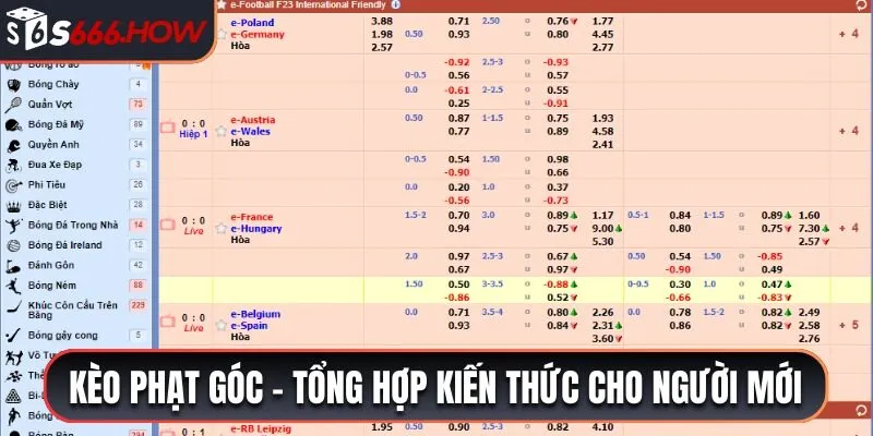 Tổng quan về dạng kèo phạt góc trong bóng đá