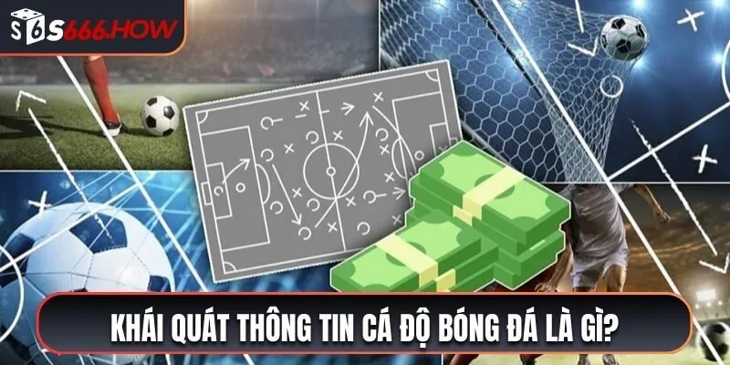 Khái quát thông tin cá độ bóng đá là gì?