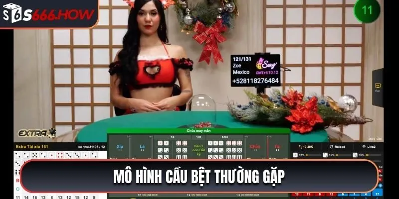 Mô hình cầu bệt thường gặp