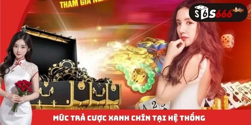 Mức trả cược xanh chín tại hệ thống