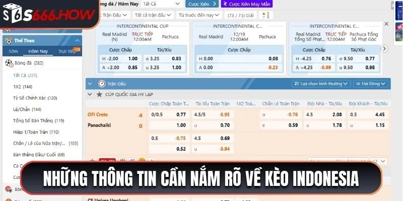 Những thông tin cần nắm rõ về kèo Indonesia