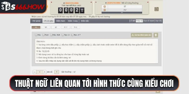 Thuật ngữ liên quan tới hình thức cùng kiểu chơi