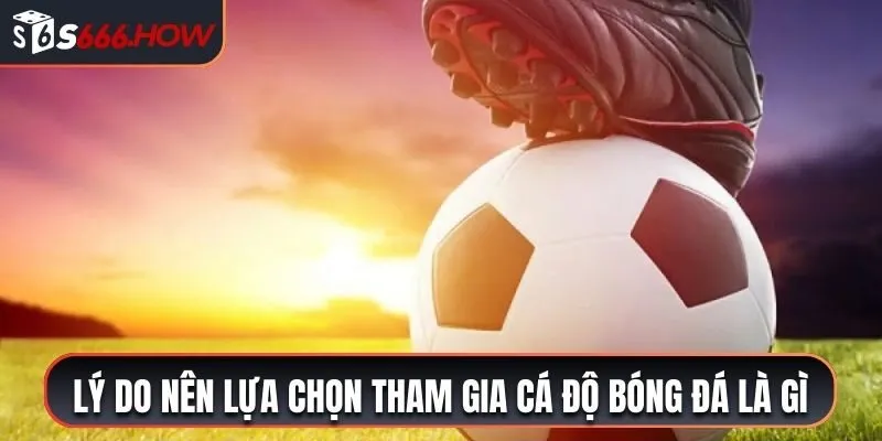 Tìm hiểu lý do nên lựa chọn tham gia cá độ bóng đá là gì