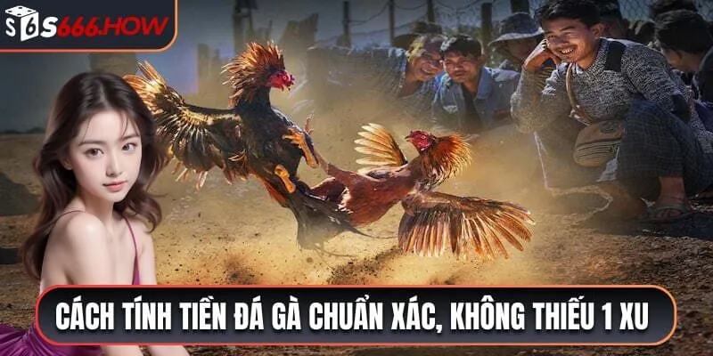 tính tiền đá gà