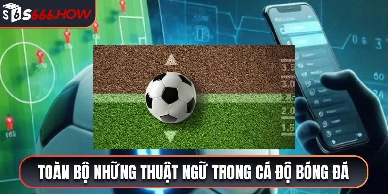 Toàn bộ những thuật ngữ trong cá độ bóng đá