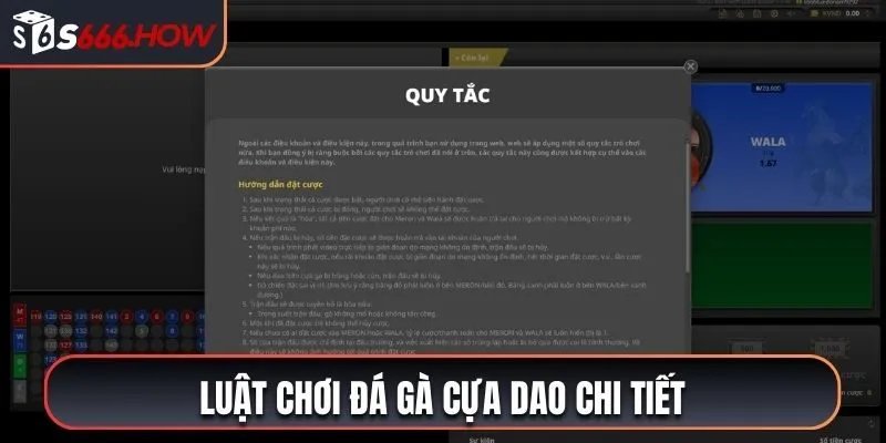 Tổng hợp bộ luật đá gà mang cựa dao chi tiết