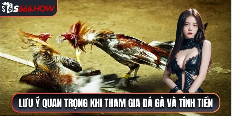 Tổng hợp lưu ý quan trọng khi tham gia đá gà và tính tiền