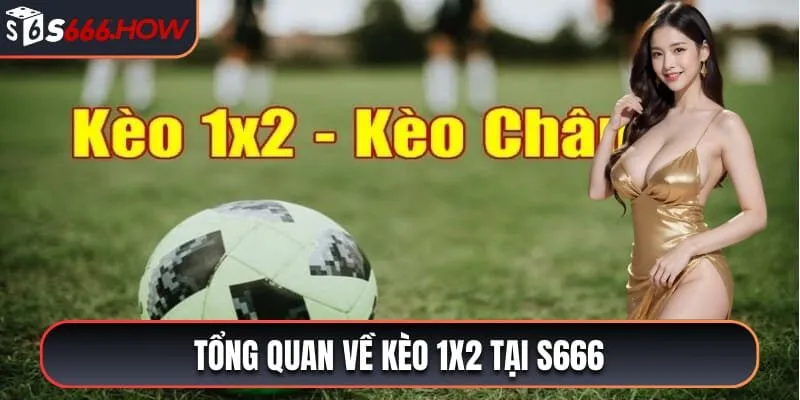 Tổng quan về kèo 1x2 tại S666