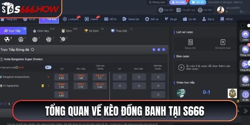 Tổng quan về kèo đồng banh tại S666