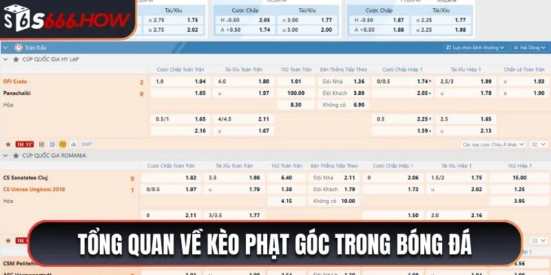 Tổng quan về kèo phạt góc thú vị trong cá độ bóng đá