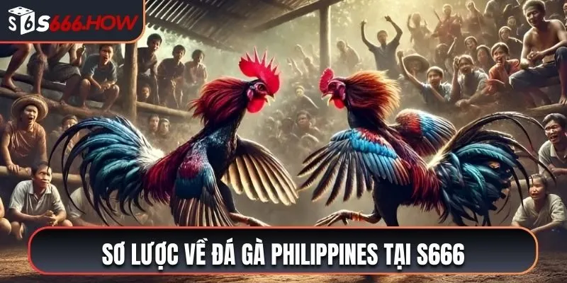 Vài nét cơ bản về sân chơi đá gà Philippines